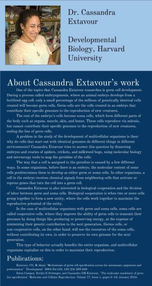 About Cassandra Extavour's Work
