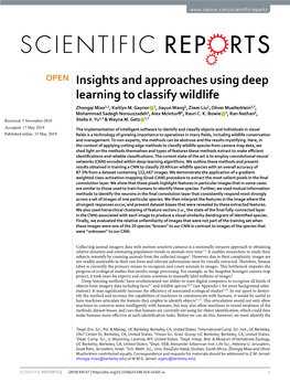 Insights and Approaches Using Deep Learning to Classify Wildlife Zhongqi Miao1,2, Kaitlyn M