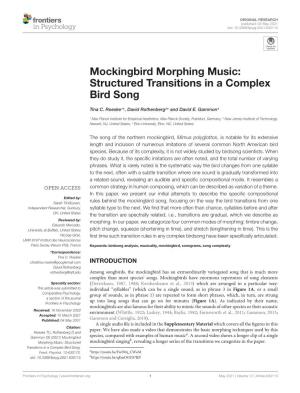 Structured Transitions in a Complex Bird Song