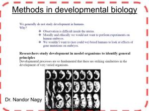 Embryo Tanulmányozási Módszerek