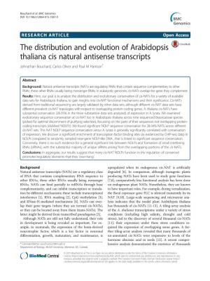 The Distribution and Evolution of Arabidopsis Thaliana Cis Natural Antisense Transcripts Johnathan Bouchard, Carlos Oliver and Paul M Harrison*