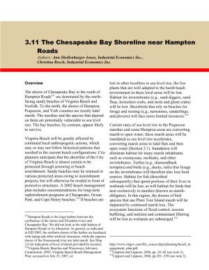 The Chesapeake Bay Shoreline Near Hampton Roads