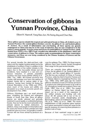 Conservation of Gibbons in Yunnan Province, China