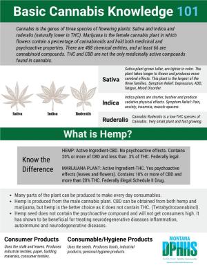 Basic Cannabis Knowledge 101