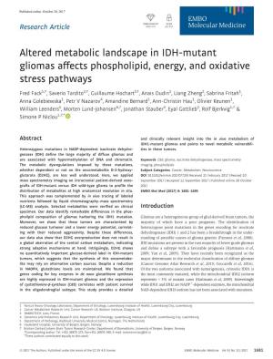 Altered Metabolic Landscape in IDH‐Mutant Gliomas Affects