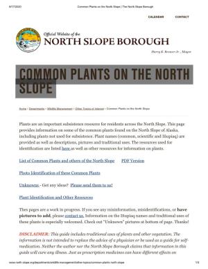 Common Plants on the North Slope | the North Slope Borough