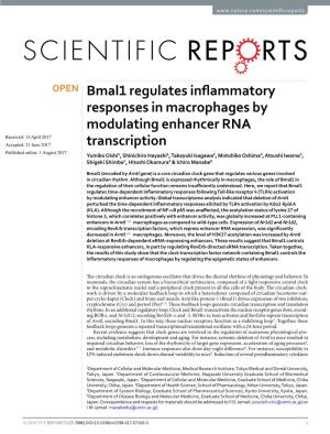 Bmal1 Regulates Inflammatory Responses in Macrophages