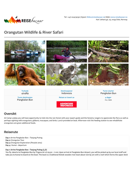 Orangutan Wildlife & River Safari