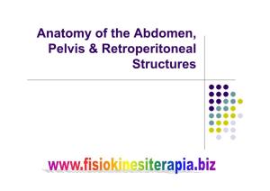 Anatomy of the Abdomen, Pelvis & Retroperitoneal Structures