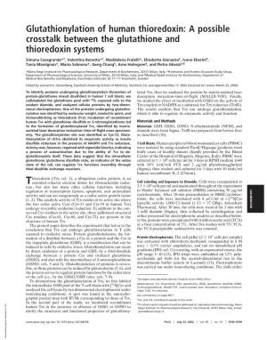 Glutathionylation of Human Thioredoxin: a Possible Crosstalk Between the Glutathione and Thioredoxin Systems