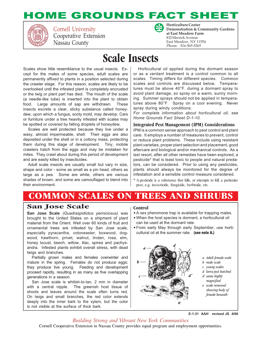 Scale Insects Scales Show Little Resemblance to the Usual Insects