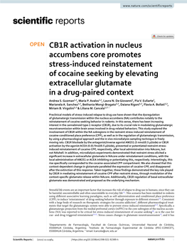 CB1R Activation in Nucleus Accumbens Core Promotes Stress