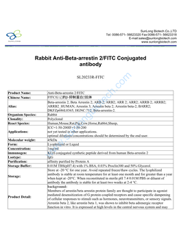 Rabbit Anti-Beta-Arrestin 2/FITC Conjugated Antibody-SL20233R