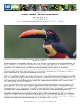 Costa Rica: Birding the Edges Part I, the Deep South 2017