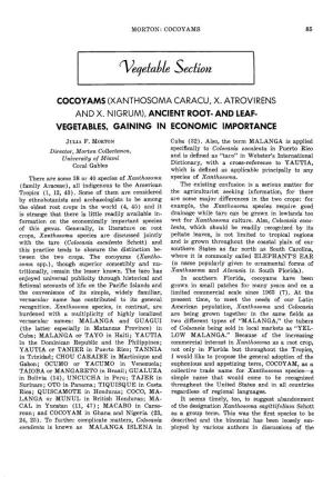 Cocoyams (Xanthosoma Caracu, X. Atrovirens and X