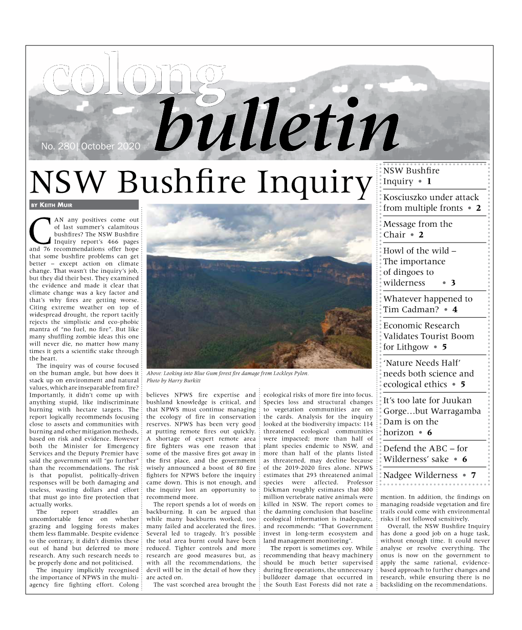 NSW Bushfire Inquiry