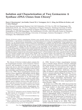 Isolation and Characterization of Two Germacrene a Synthase Cdna Clones from Chicory1