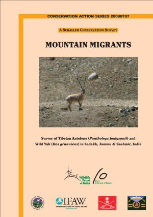 Mountain Migrants: a Survey of the Tibetan Antelope and Wild Yak In