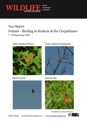 September 2019 Tour Report Birding in Krakow & the Carpathians