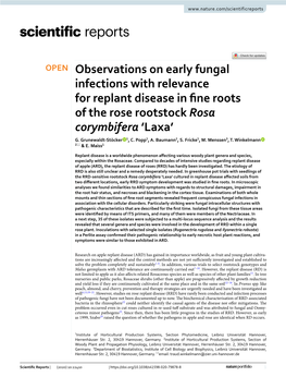 Observations on Early Fungal Infections with Relevance for Replant Disease in Fine Roots of the Rose Rootstock Rosa Corymbifera