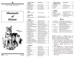 Mammals of Kluane