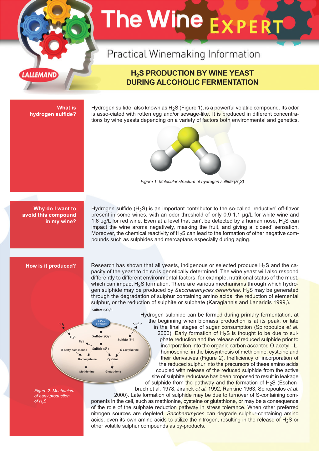 H2s Production by Wine Yeast During Alcoholic Fermentation