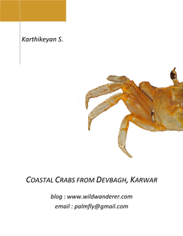 Coastal Crabs from Devbagh, Karwar