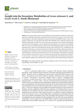 Insight Into the Secondary Metabolites of Geum Urbanum L. and Geum Rivale L