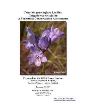 (Largeflower Triteleia): a Technical Conservation Assessment