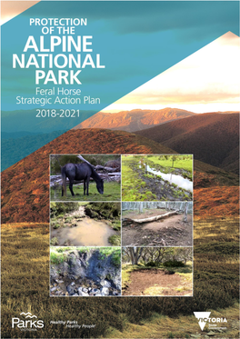 Protection of the Alpine National Park: Feral Horse Strategic Action Plan 2018–2021