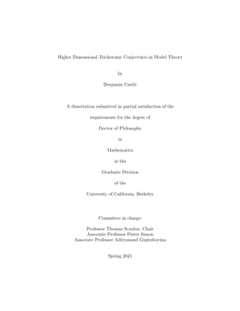 Higher Dimensional Trichotomy Conjectures in Model Theory By