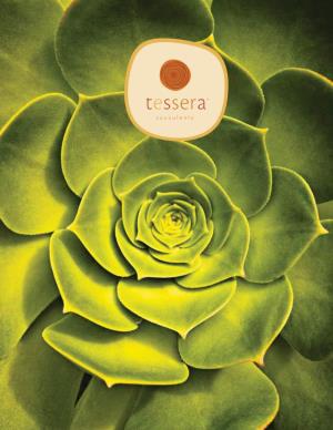 TESSERA™ Succulents HIGH AESTHETICS | LOW MAINTENANCE Beautiful and Bizarre, Gripping and Groundbreaking