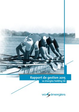 Rapport De Gestion 2015 Vo Énergies Holding SA