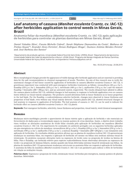 Leaf Anatomy of Cassava (Manihot Esculenta Crantz. Cv. IAC-12) After Herbicides Application to Control Weeds in Minas Gerais, Br