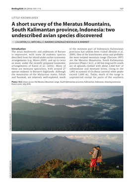 A Short Survey of the Meratus Mountains, South Kalimantan Province, Indonesia: Two Undescribed Avian Species Discovered