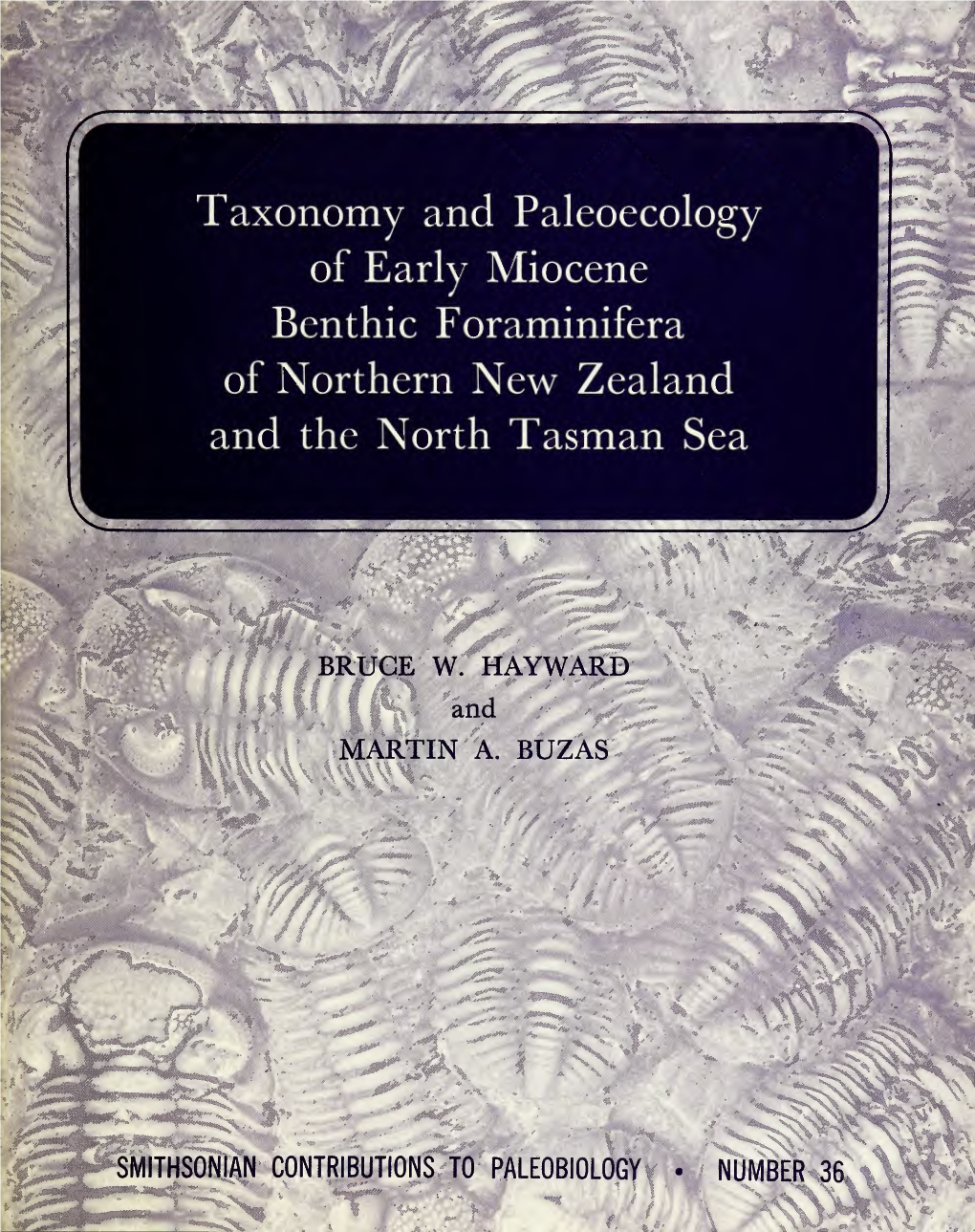 Taxonomy and Paleoecolosry Oi Early Miocene Benthic Foraminifera of Northern New Zealand and the North Tasman Sea