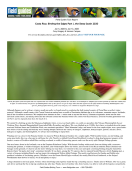 Costa Rica: Birding the Edges Part I, the Deep South 2020