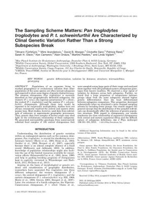 The Sampling Scheme Matters: Pan Troglodytes Troglodytes and P