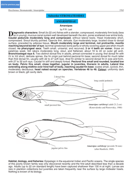 Suborder STROMATEOIDEI AMARSIPIDAE