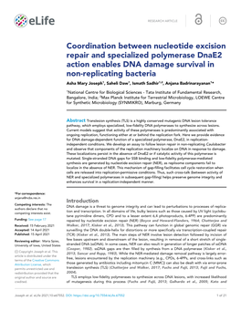 Coordination Between Nucleotide Excision Repair And