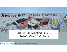 Shellfish Farming Risks Predators and Pests