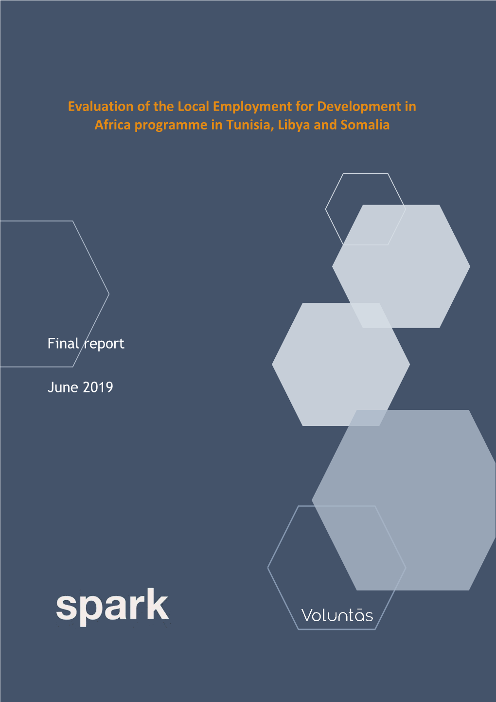 Evaluation of the Local Employment for Development in Africa