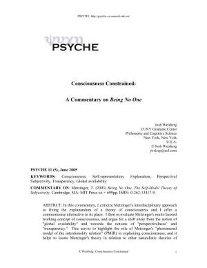 Consciousness Constrained: a Commentary On