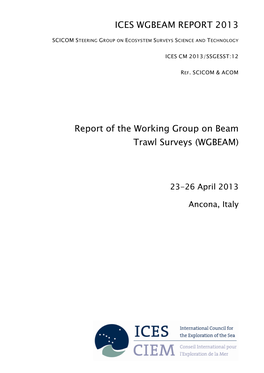 Wgbeam Report 2013