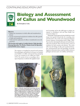 Biology and Assessment of Callus and Woundwood by Christopher J