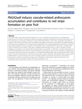Pbga2ox8 Induces Vascular-Related Anthocyanin Accumulation And