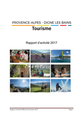 Rapport D'activité 2017