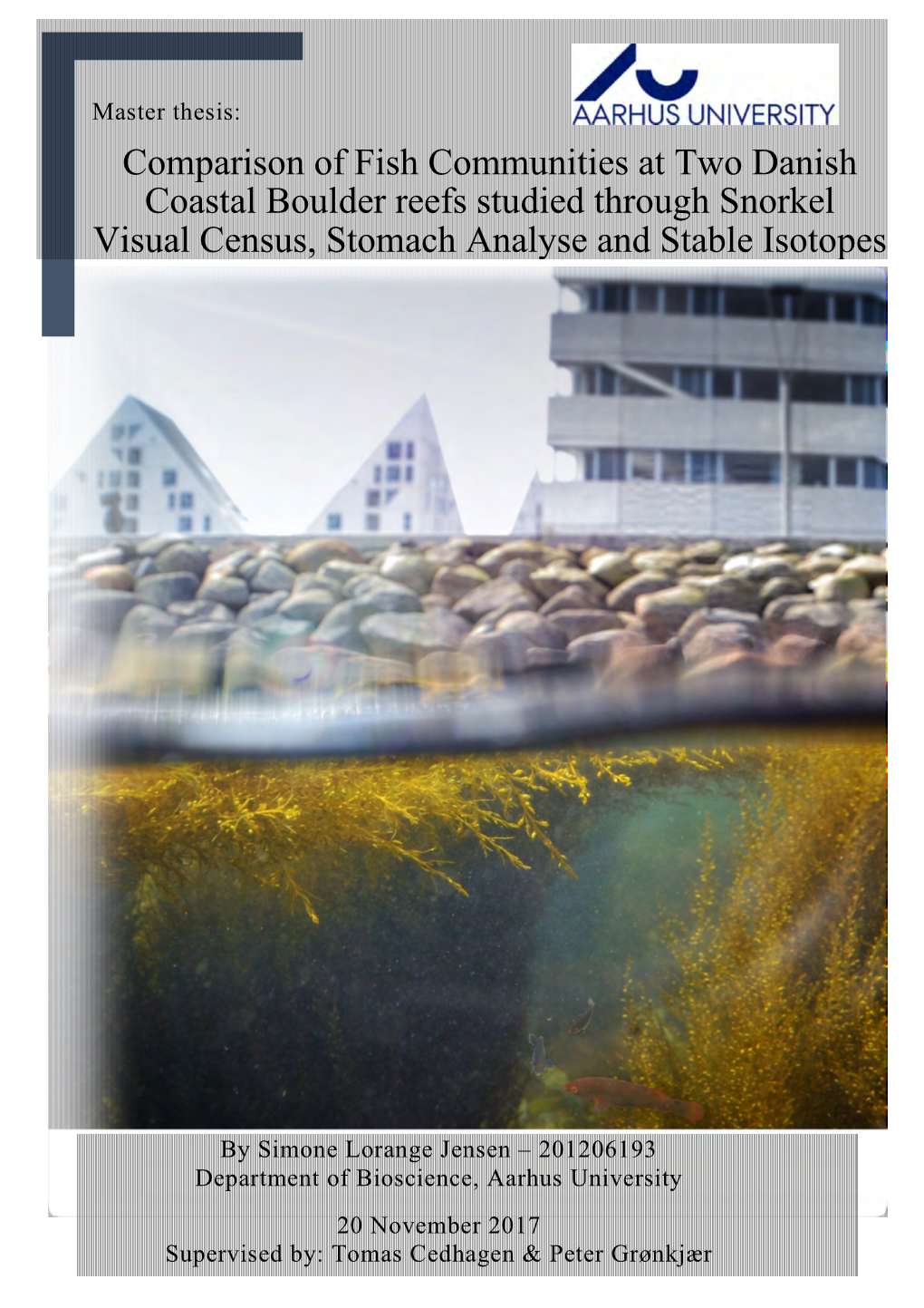 Comparison of Fish Communities at Two Danish Coastal Boulder Reefs Studied Through Snorkel Visual Census, Stomach Analyse and Stable Isotopes