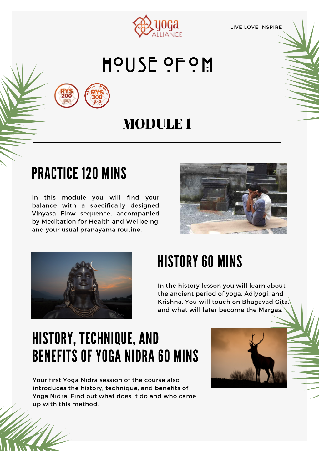 Yoga Teacher Training – House of Om