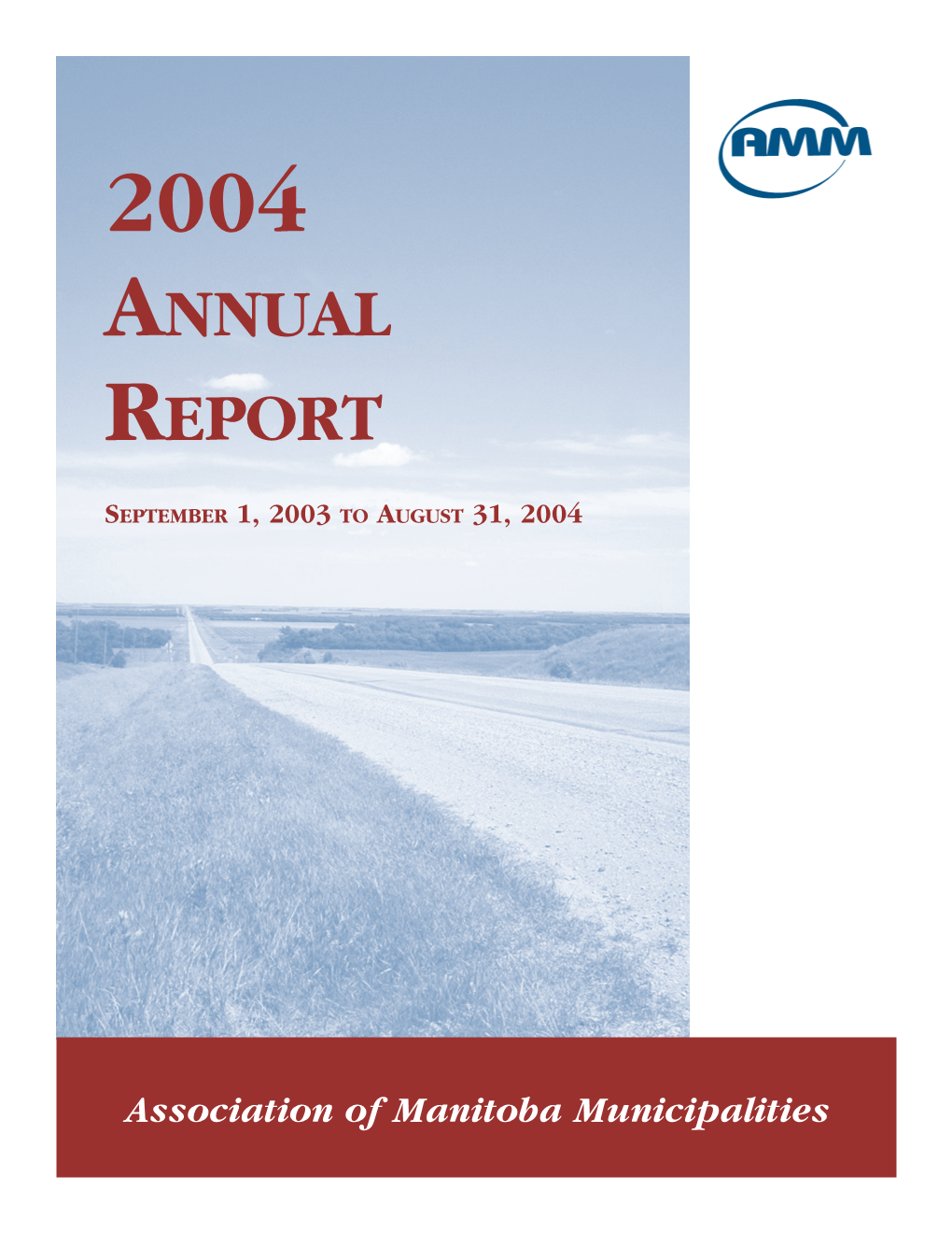 2004 Amm Annual Report 2